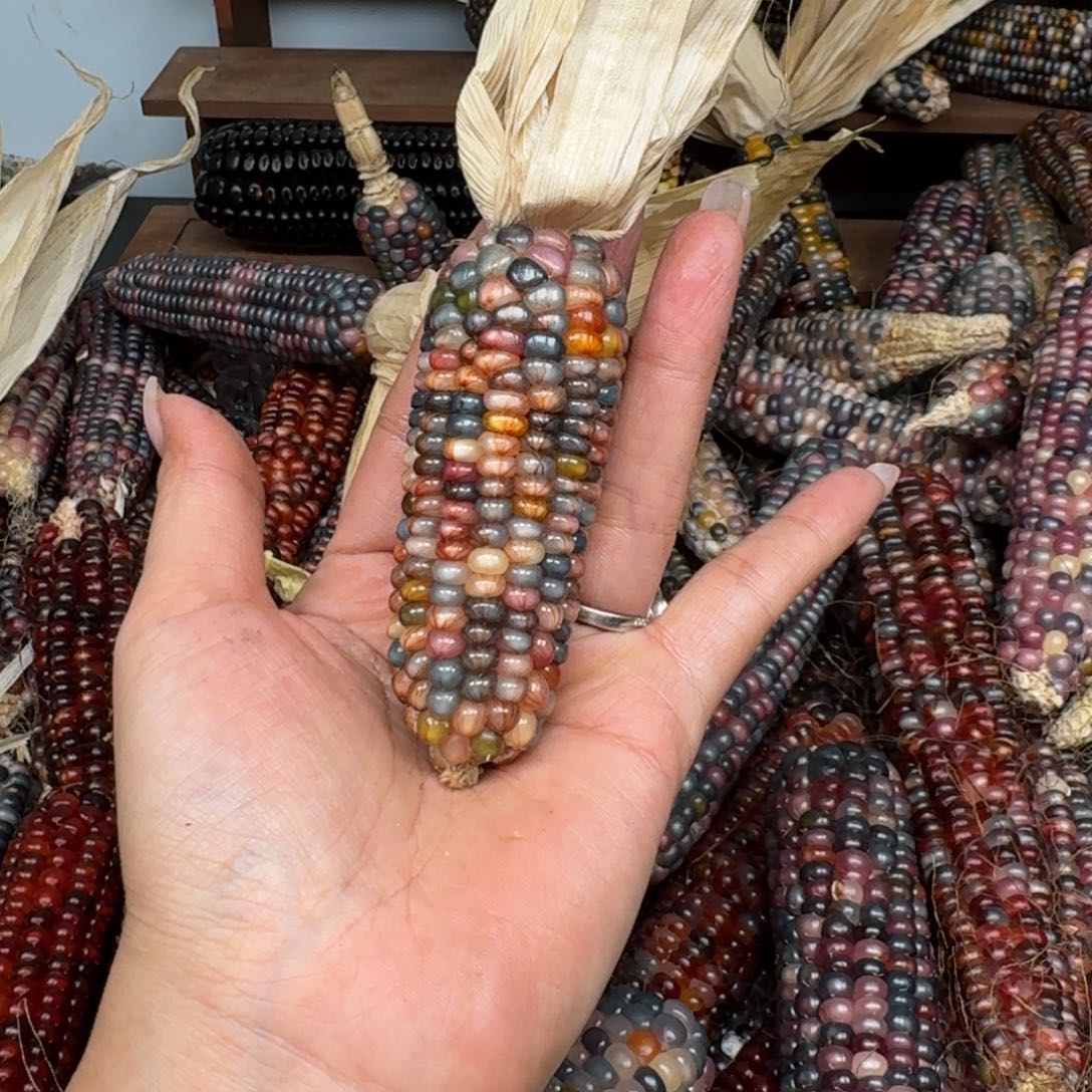 柏香籽/百香籽吊坠¥****1