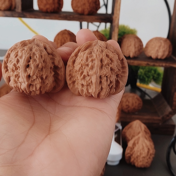 42角白红皮果骨质棒