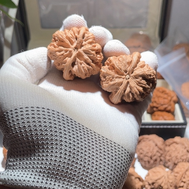 A****光43全品平谷粗筋狮子头