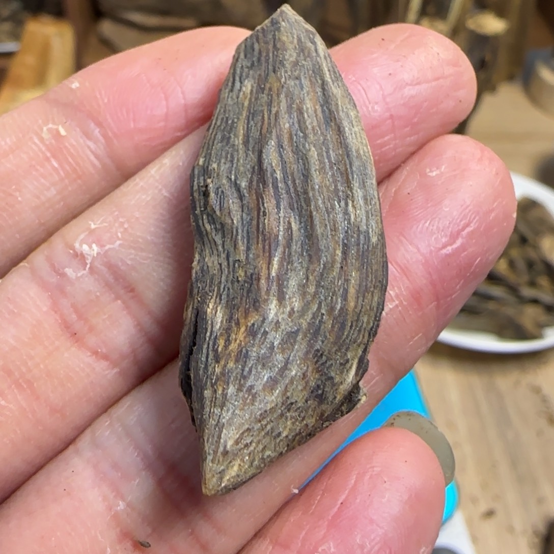 沉香沉香碎屑绿棋楠沉香原料1.6克