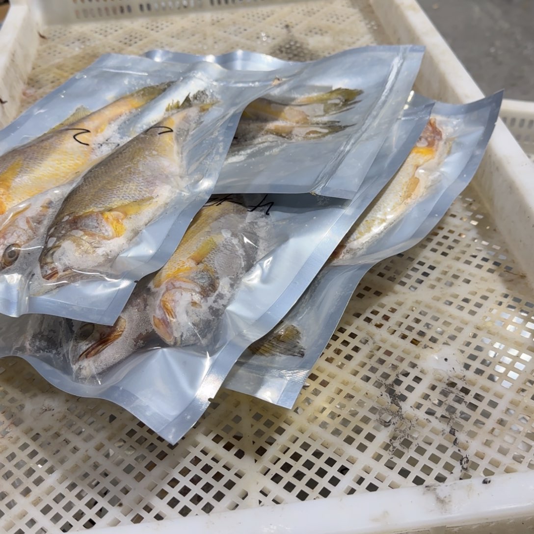 M***Y中国大陆库存黄鱼4斤