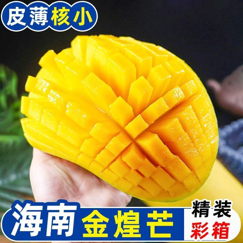 【催熟放软食用】海南金煌芒新鲜芒果当季热带水果现摘青甜水仙芒