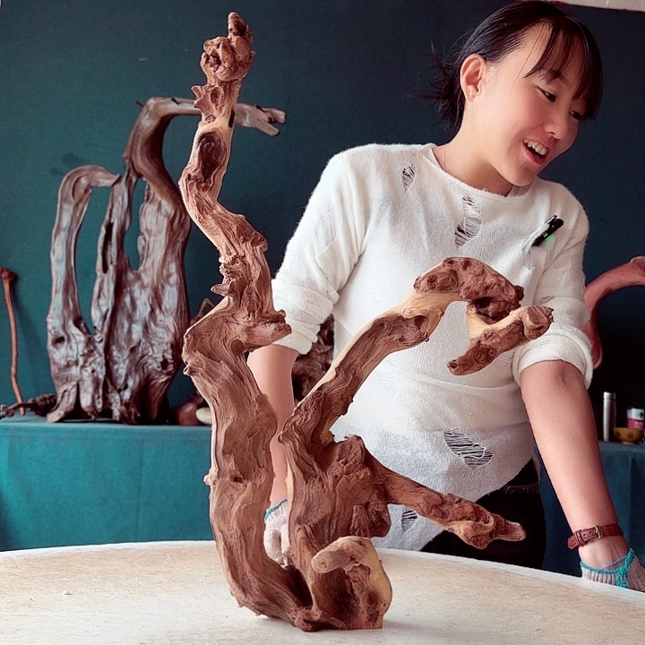 黑果木用****2719金丝红木羊蹄甲半成品