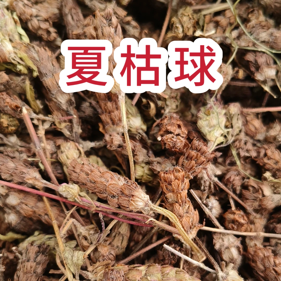 【夏 枯 草】夏枯草可泡茶的中药材干货