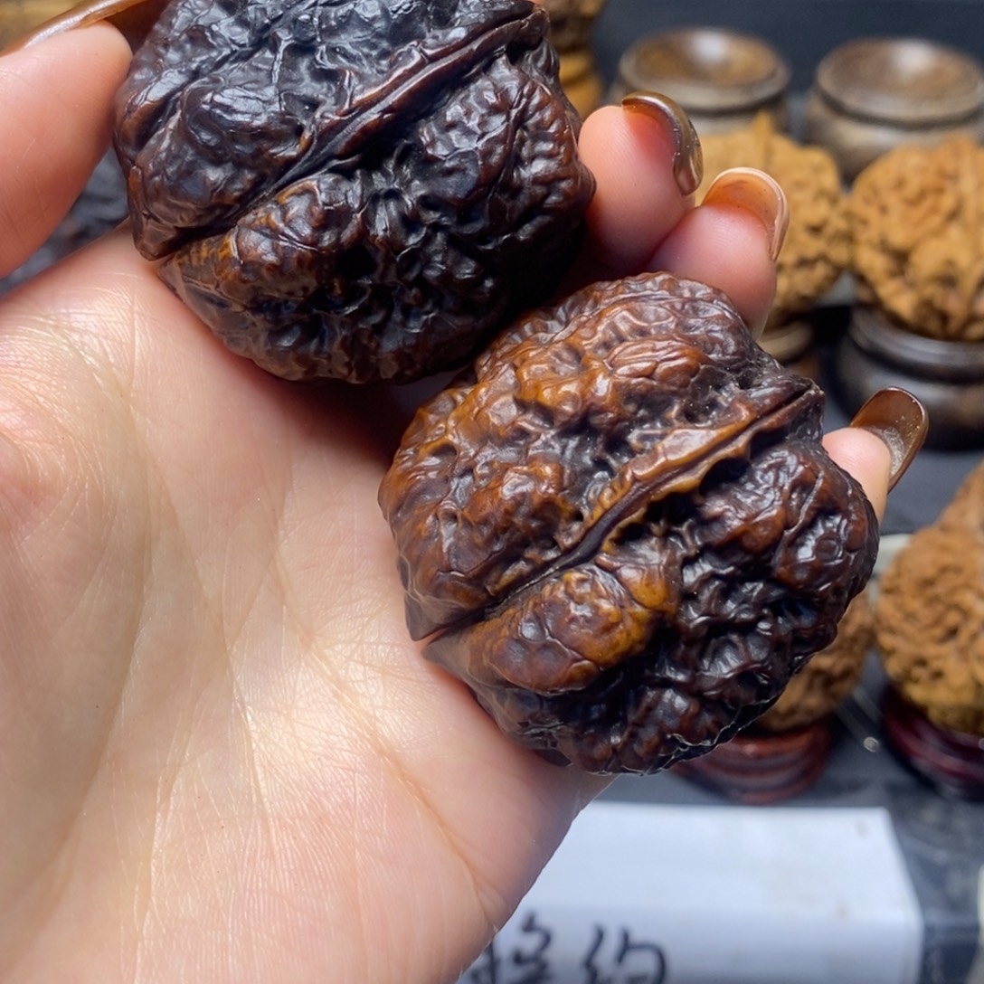 生***上九五玄包。           