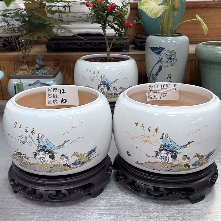 陶瓷花盆紫砂花盆抢购福利