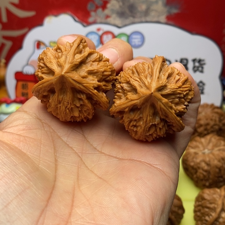 ᦦ***你福利福利39全品御龙粗筋