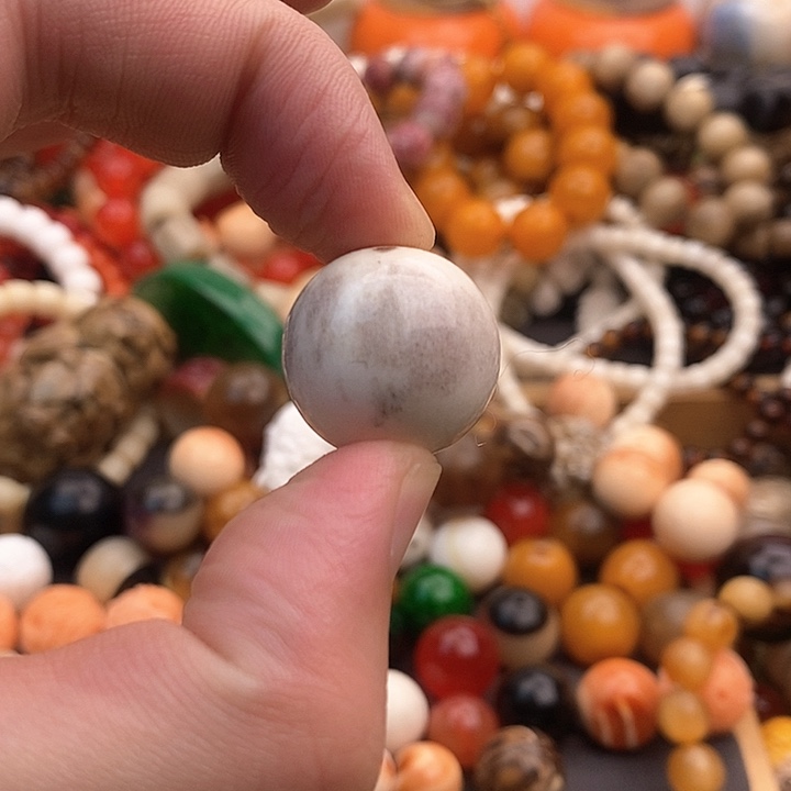 大果紫檀（缅甸花梨）22m