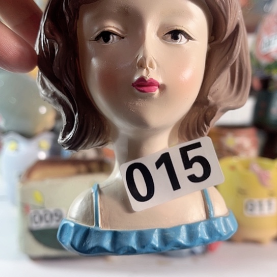 红陶多肉植物花盆