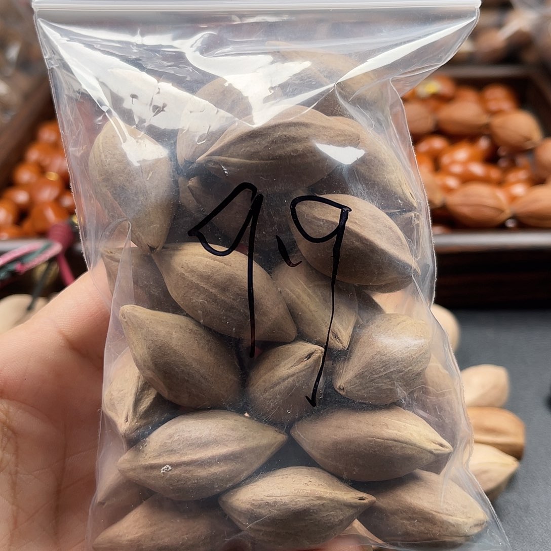 吊坠龙脊菩提橄榄树等树木生长发育