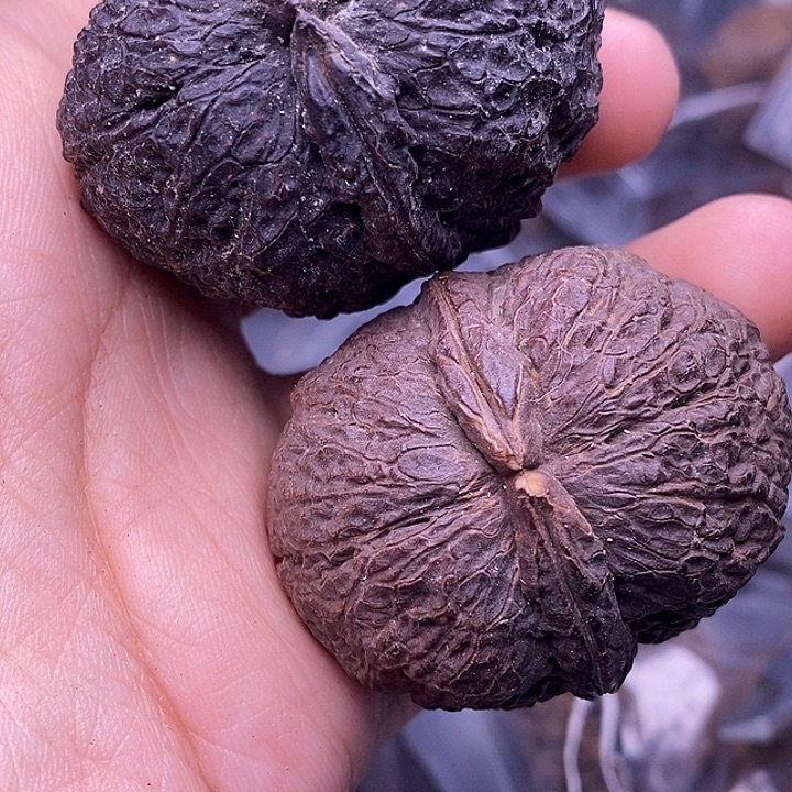 文玩核桃把件   164