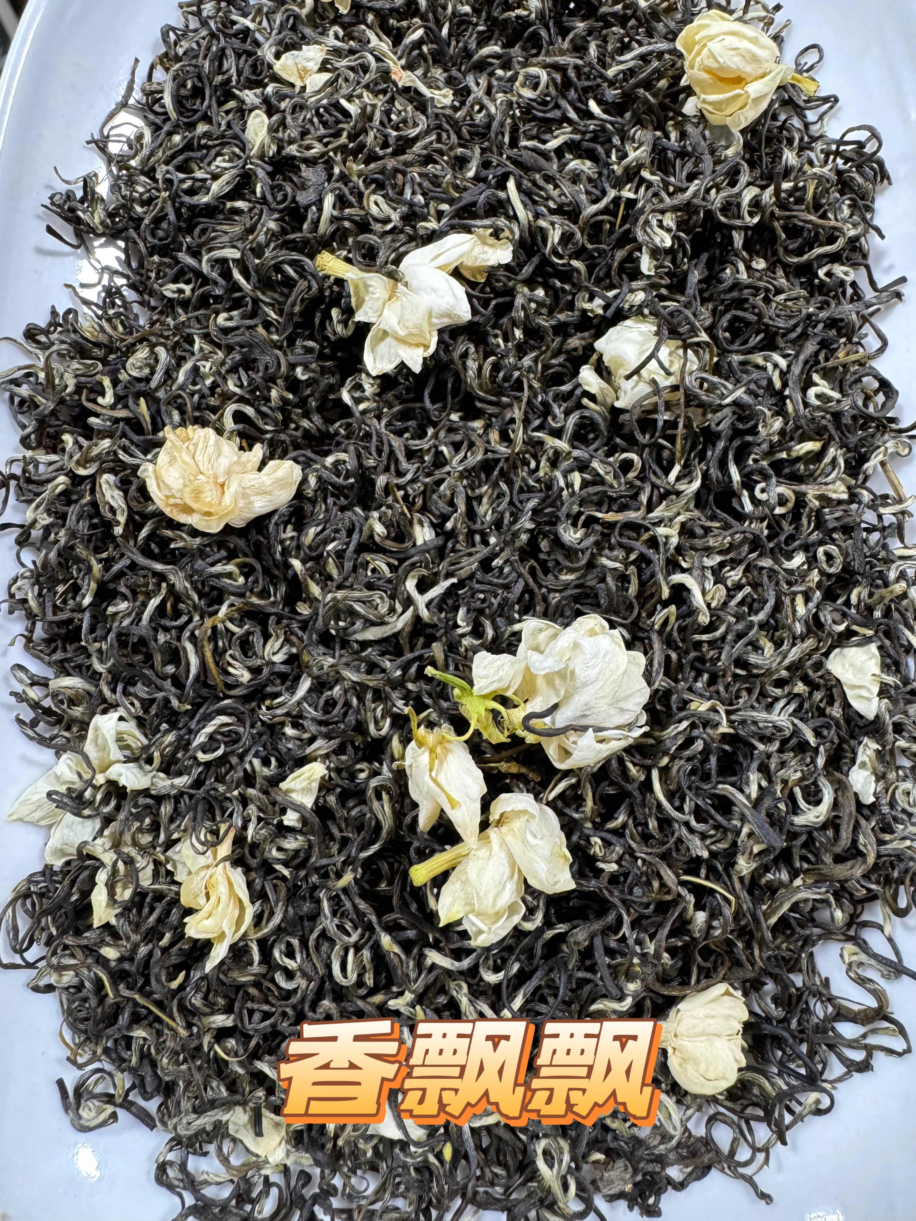 正宗浓香茉莉花茶飘雪耐泡实惠口粮茶香飘飘