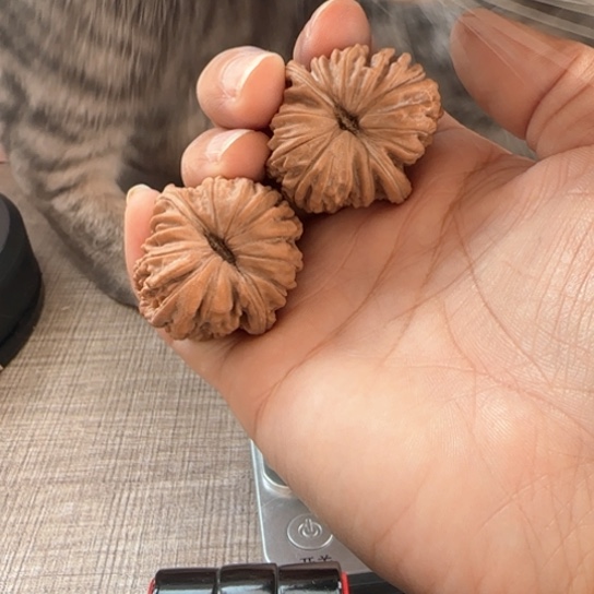 桃核吊坠布*德核桃核桃