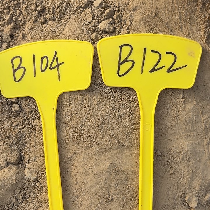 一***缘B104,B122，cc156两颗