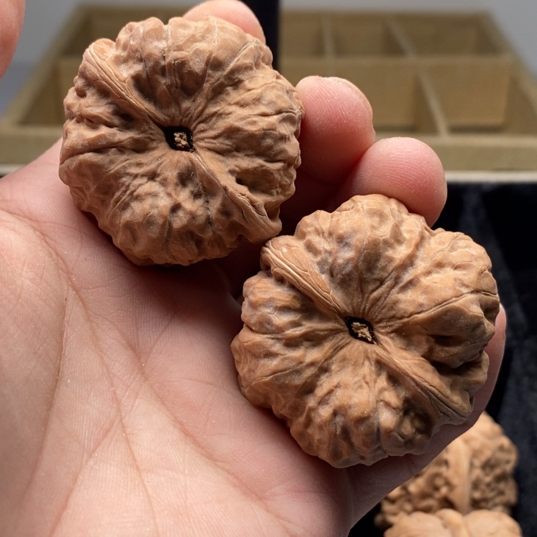 R***H好的我真的是太喜欢了一