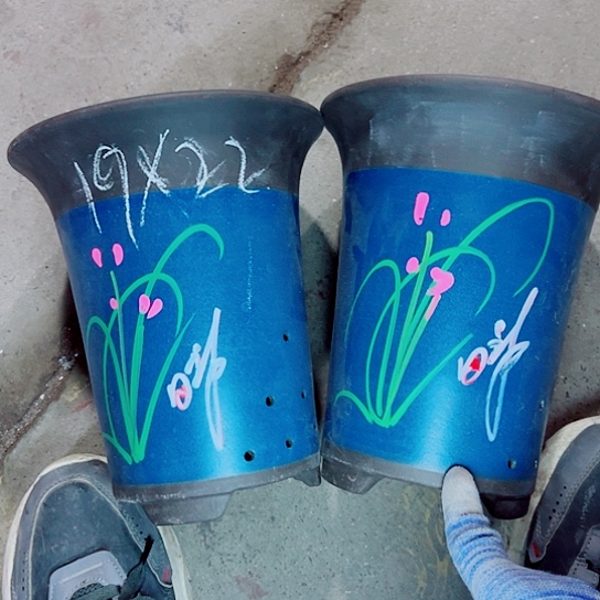 红陶紫砂紫砂紫砂