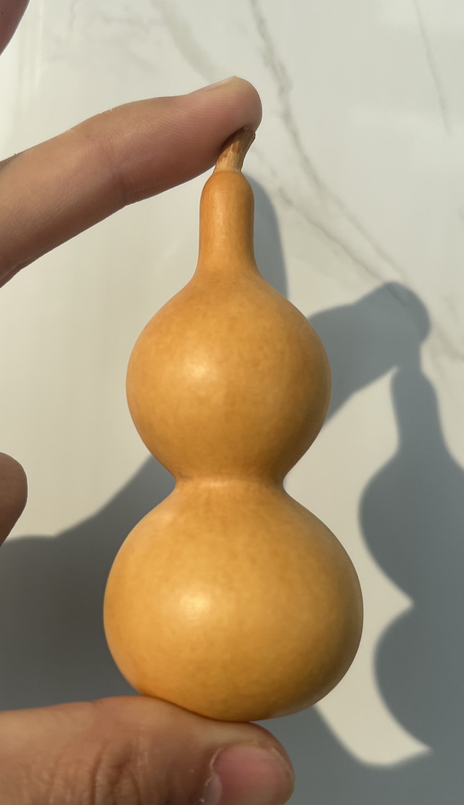 2号链接 直播葫芦专拍 默认微瑕不保龙头(没有售后谨慎下单)