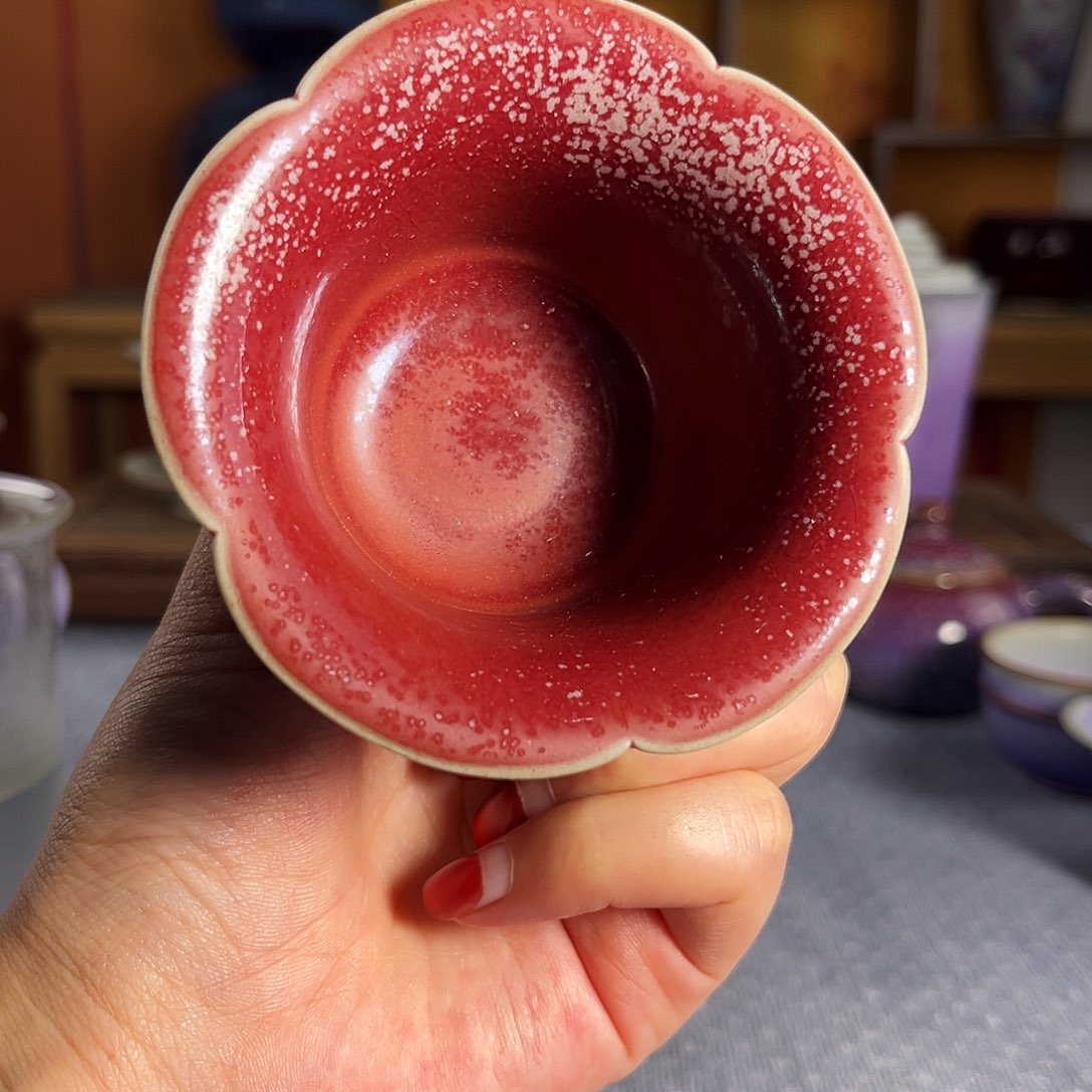 【闪购商品】杯16号12223333366666666