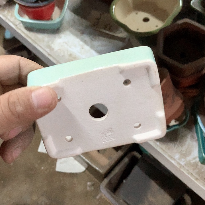 紫砂我要不要好好照顾自己呀