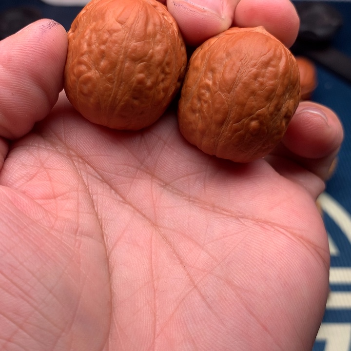 桃核把件兔*哥野生小手捻