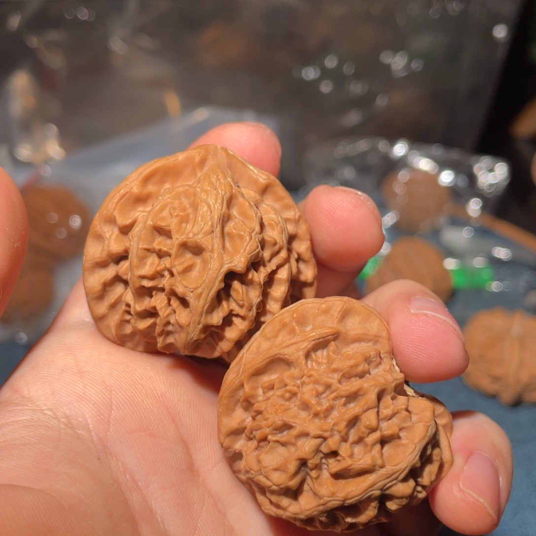 文玩核桃把件李**?5656555555556