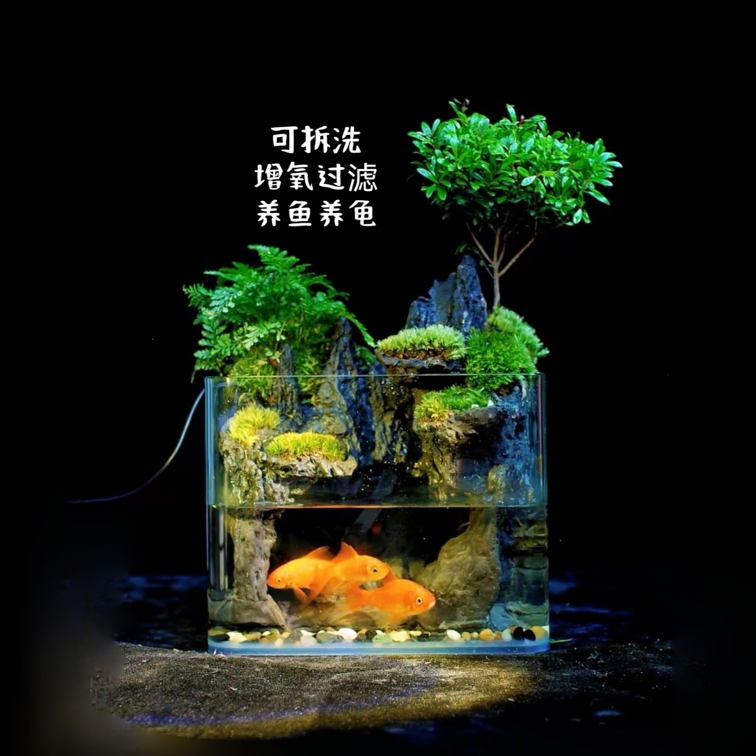 【暮云特惠】 悬山 可拆洗 小叶赤楠狼尾蕨可养鱼龟景观20*16*14