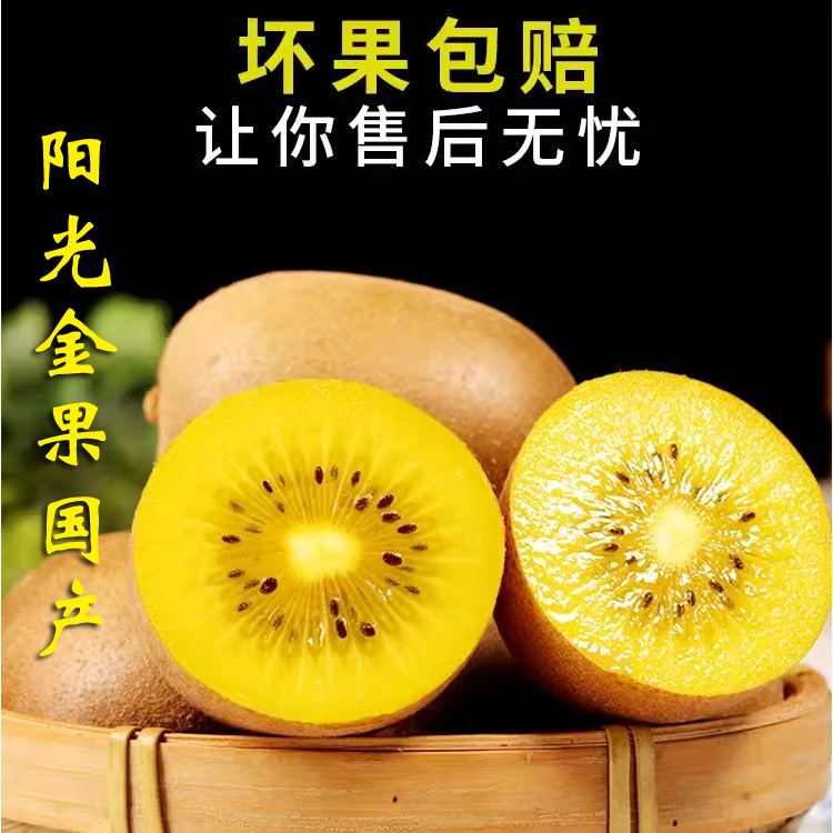 帆儿庄园阳光金果国产黄心猕猴桃整箱新鲜水果应季时令西坪专属