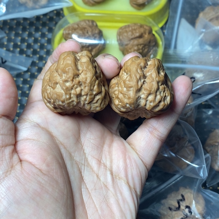 文玩核桃把件蛤蟆38