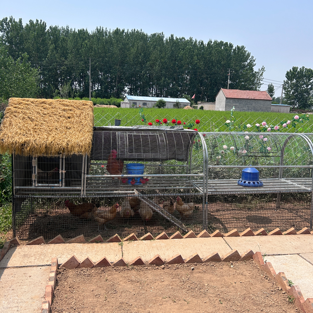 养殖鸡舍兔舍户外防雨棚鸡窝家禽鸡笼防晒鸭棚鸡舍搭建家用养殖