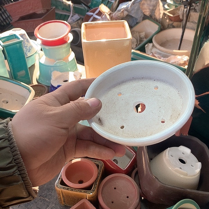 紫砂没有那么重要了！哈哈真的