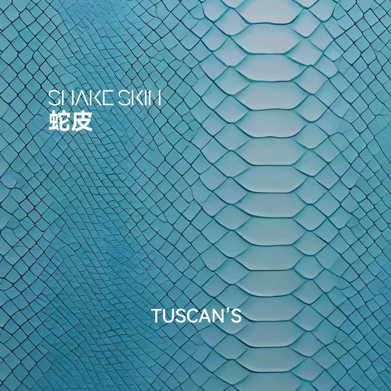 TUSCAN'S【小号手提包】女士手提包包单肩斜挎包