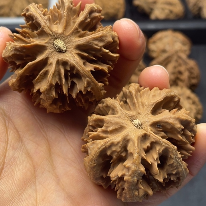 文玩核桃吊坠突突突突突