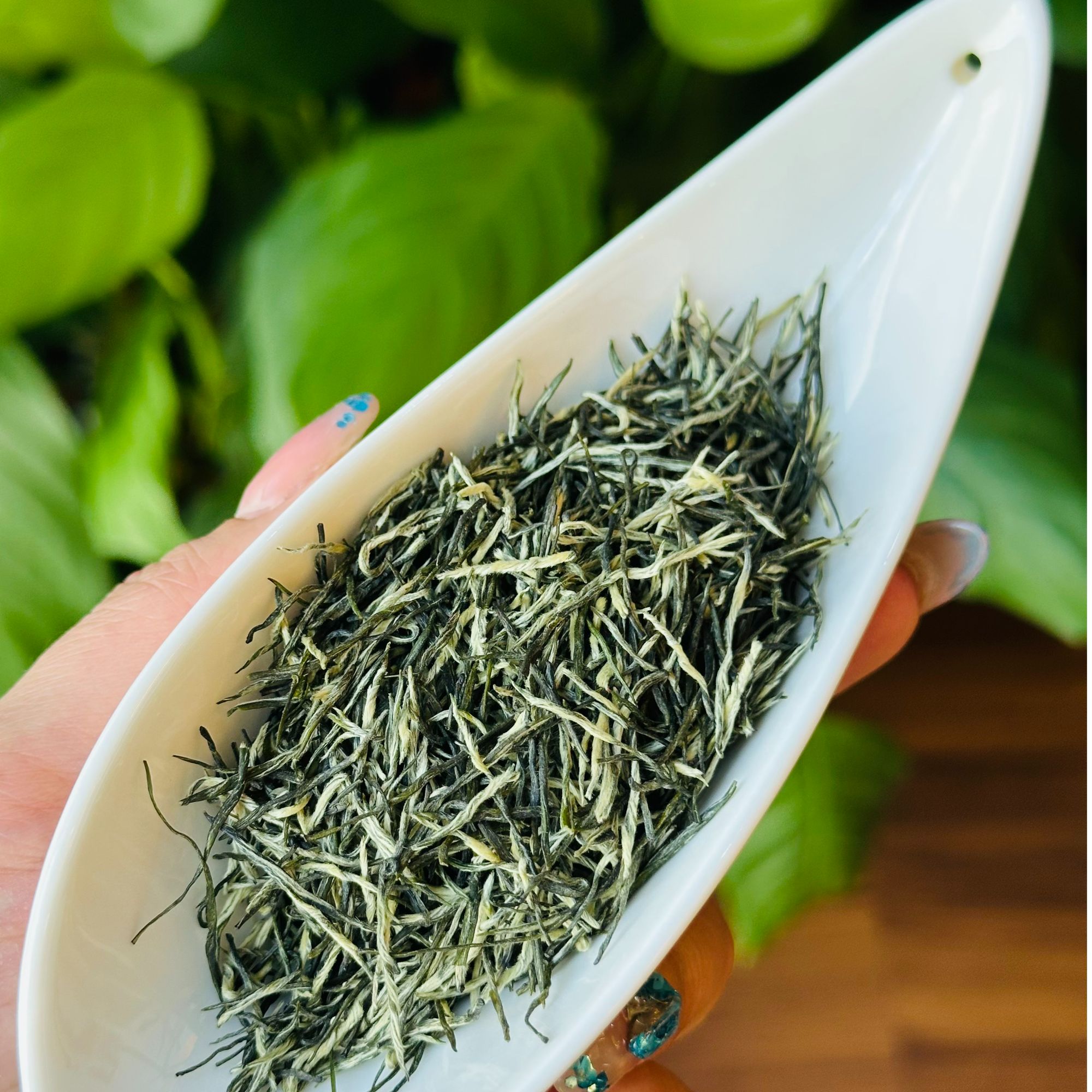 【五峰芽毛尖】2025年明前新茶湖北特产宜昌高山云雾茶125克罐装