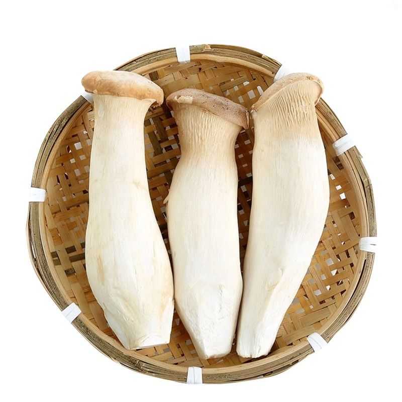 杏鲍菇约200-300g/份