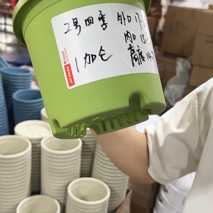特价2号口17高14.5果绿色10只无托