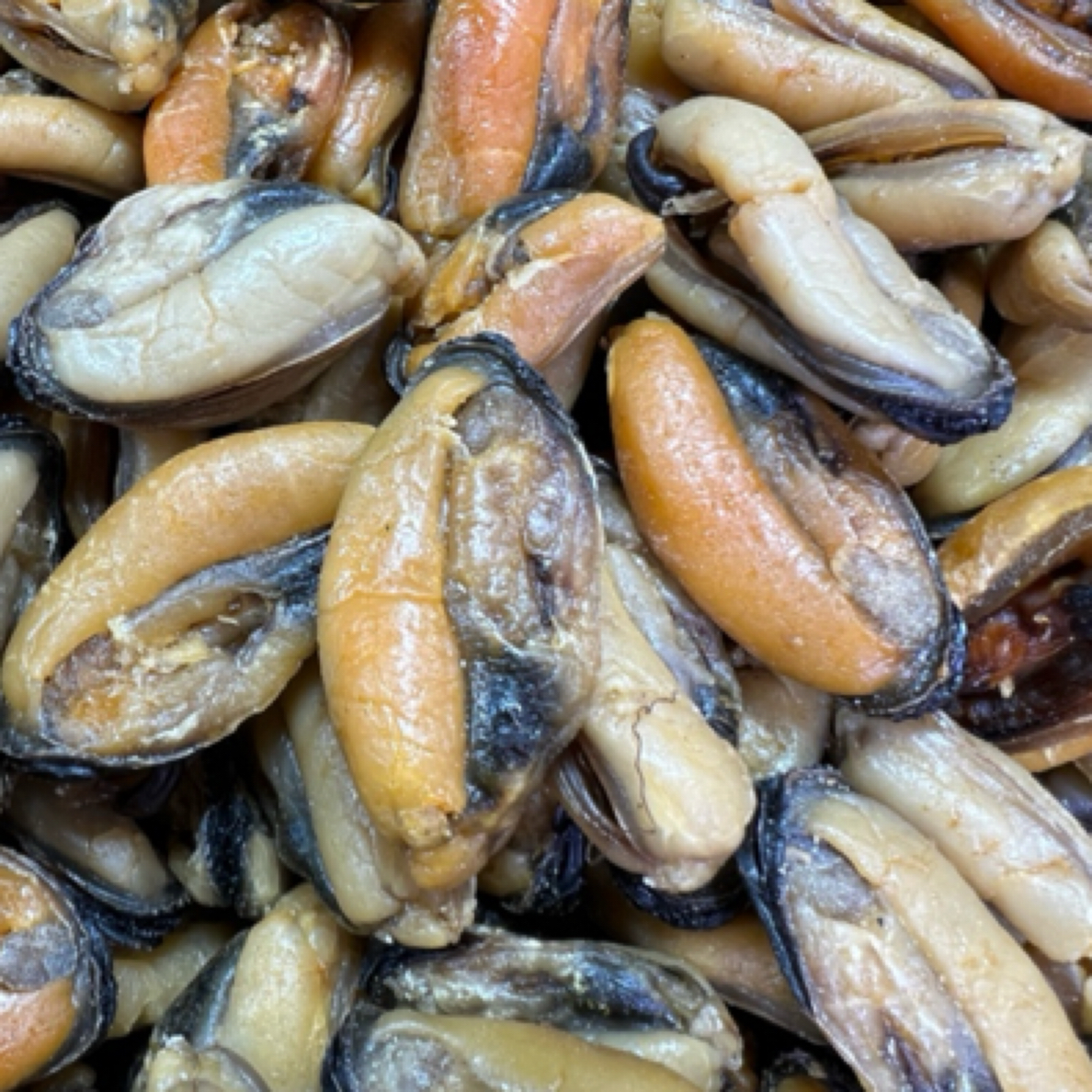 野生大号淡菜干新鲜青口壳菜海虹干海鲜干货 250克贝壳