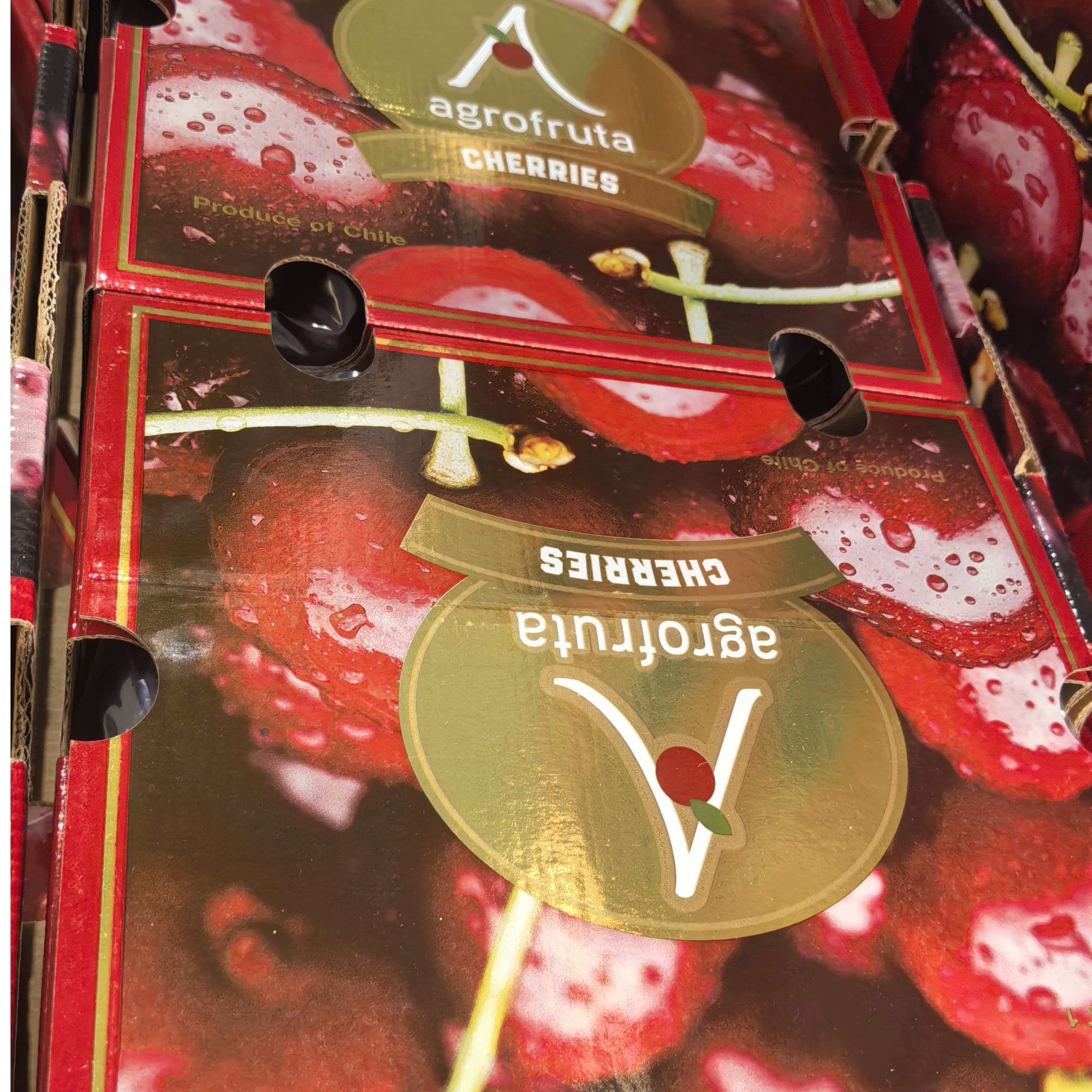 铁塔牌车厘子桑提娜 4JD  5斤 海运 （损耗十颗左右是正常范围）桑提娜智利