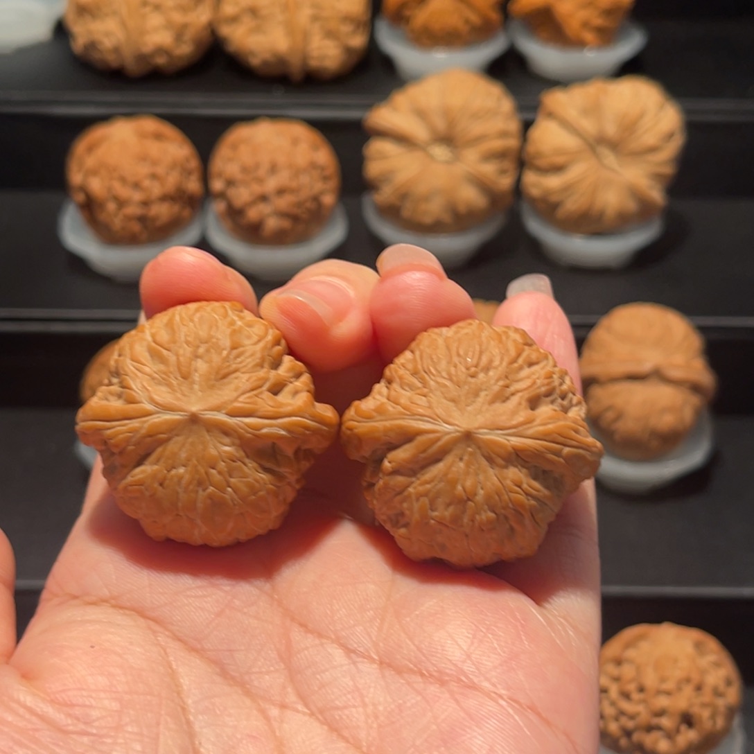 .***.全品，精品，36铁锤029