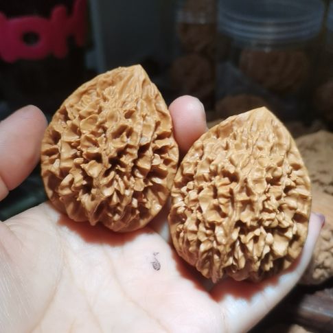 猴头核桃吊坠44招财鼠