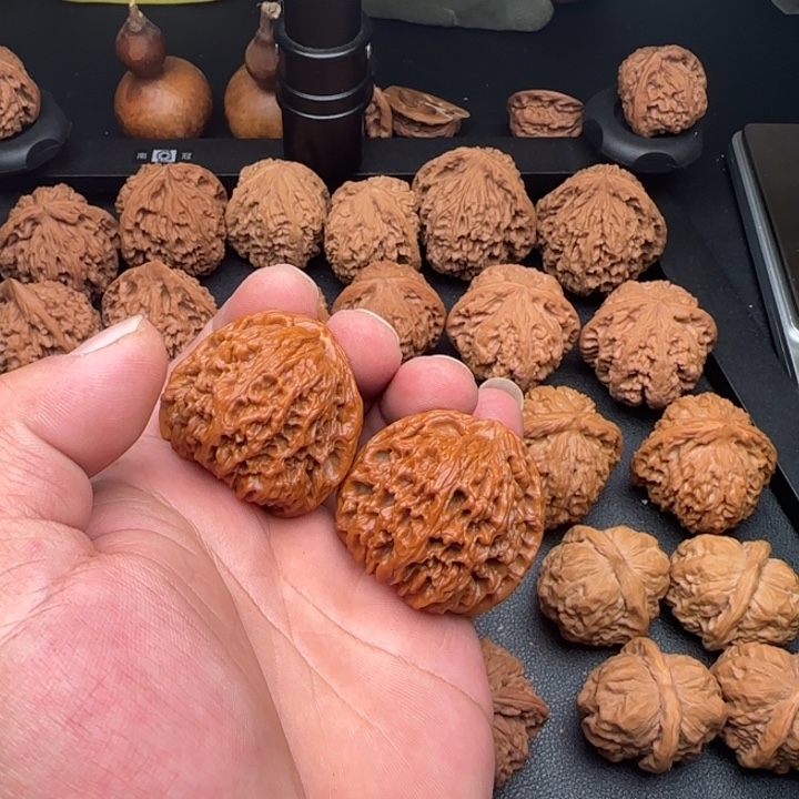 43帝国凹底南疆微黄尖