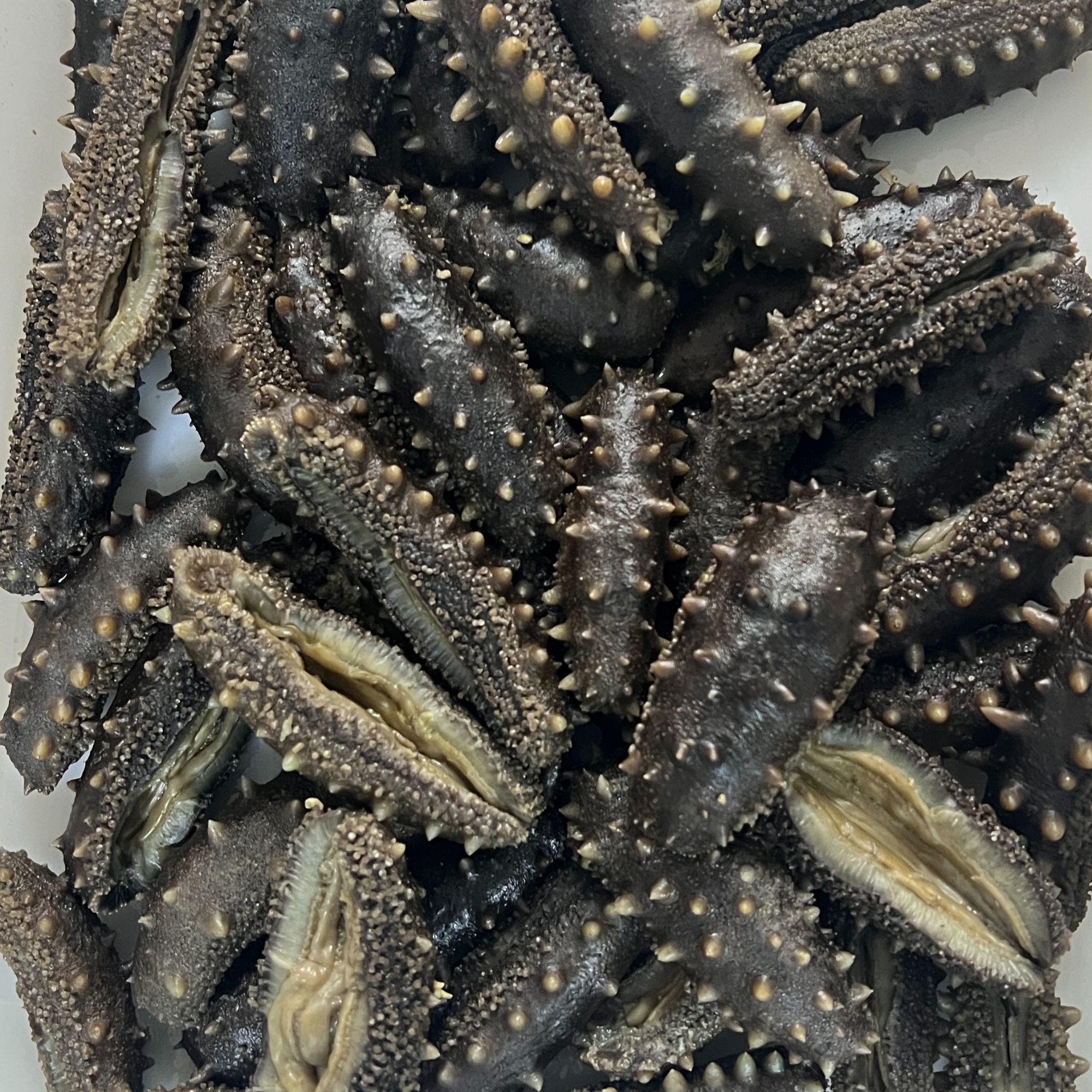 深海（高压即食）大连长海县海参