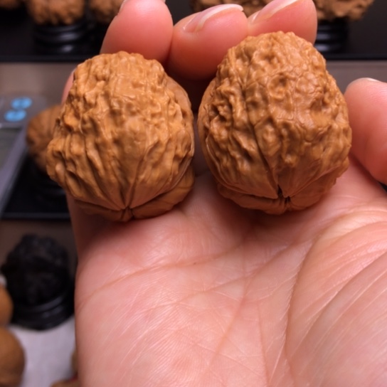 文玩核桃把件刺甲苍龙17