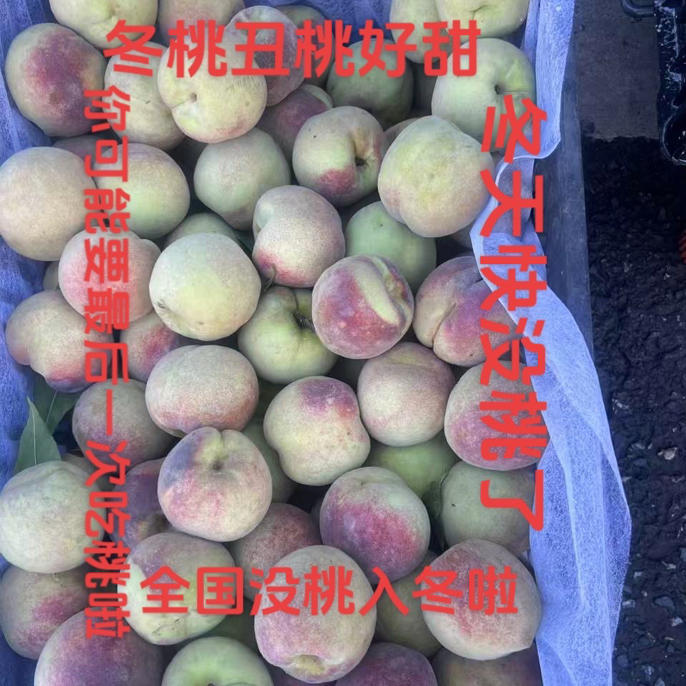 云南景东冬雪蜜桃离核脆甜新鲜果园现摘应季高山种植红心脆桃