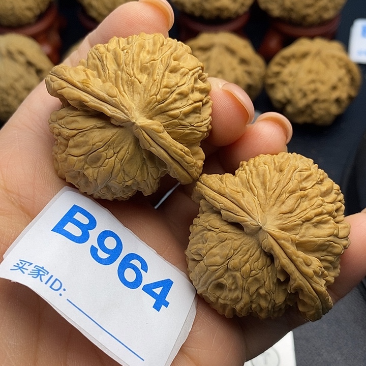 文玩核桃把件白狮子4.3