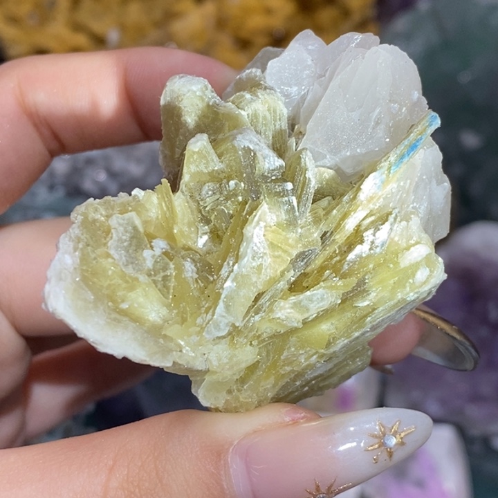 石材巴西金云之花