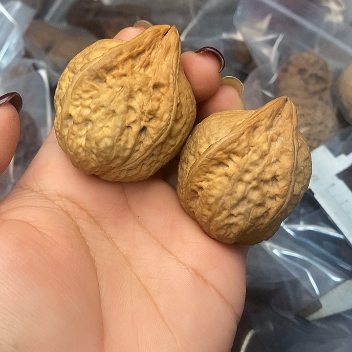 文玩核桃吊坠19号41mn