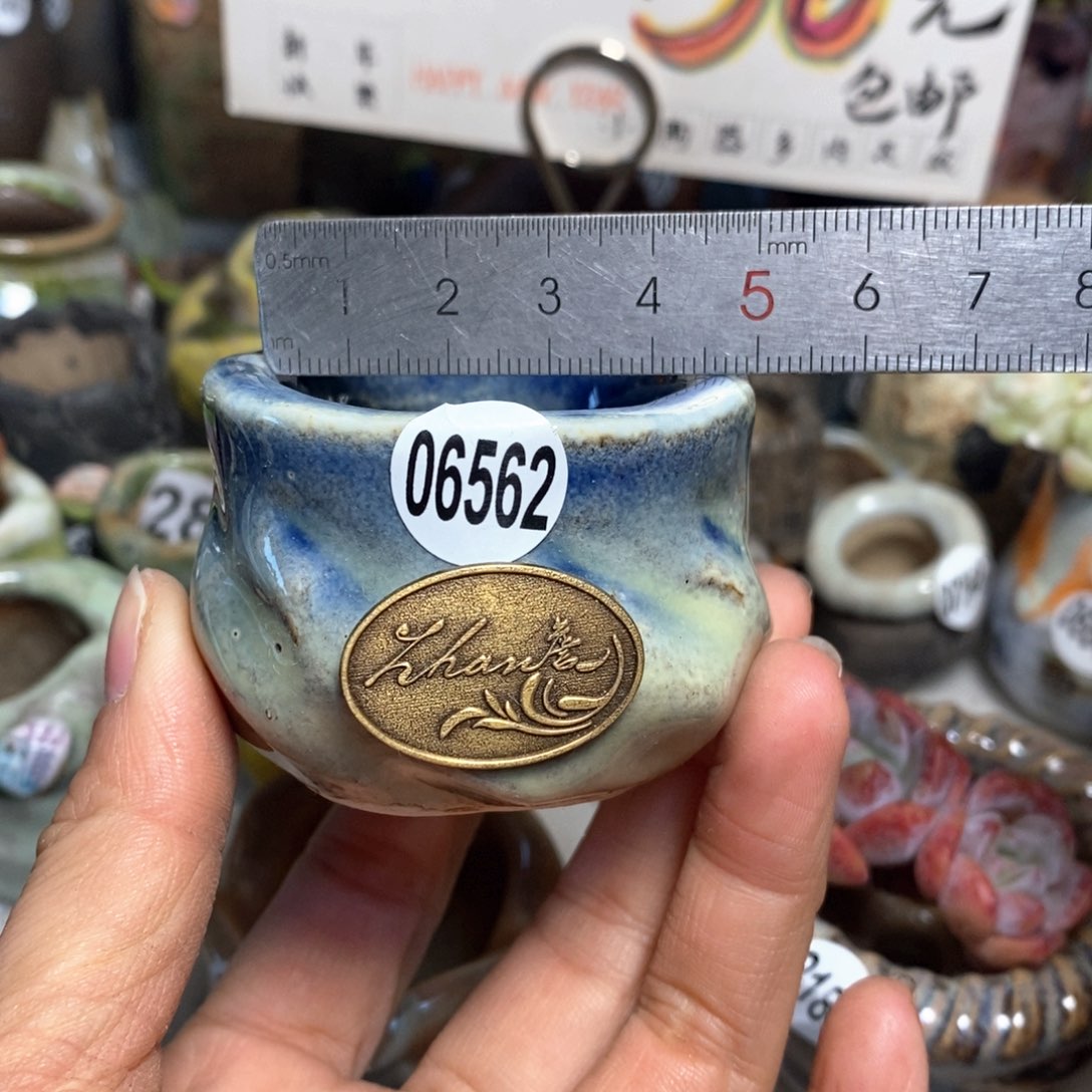 特价花盆拍5送一个小礼物