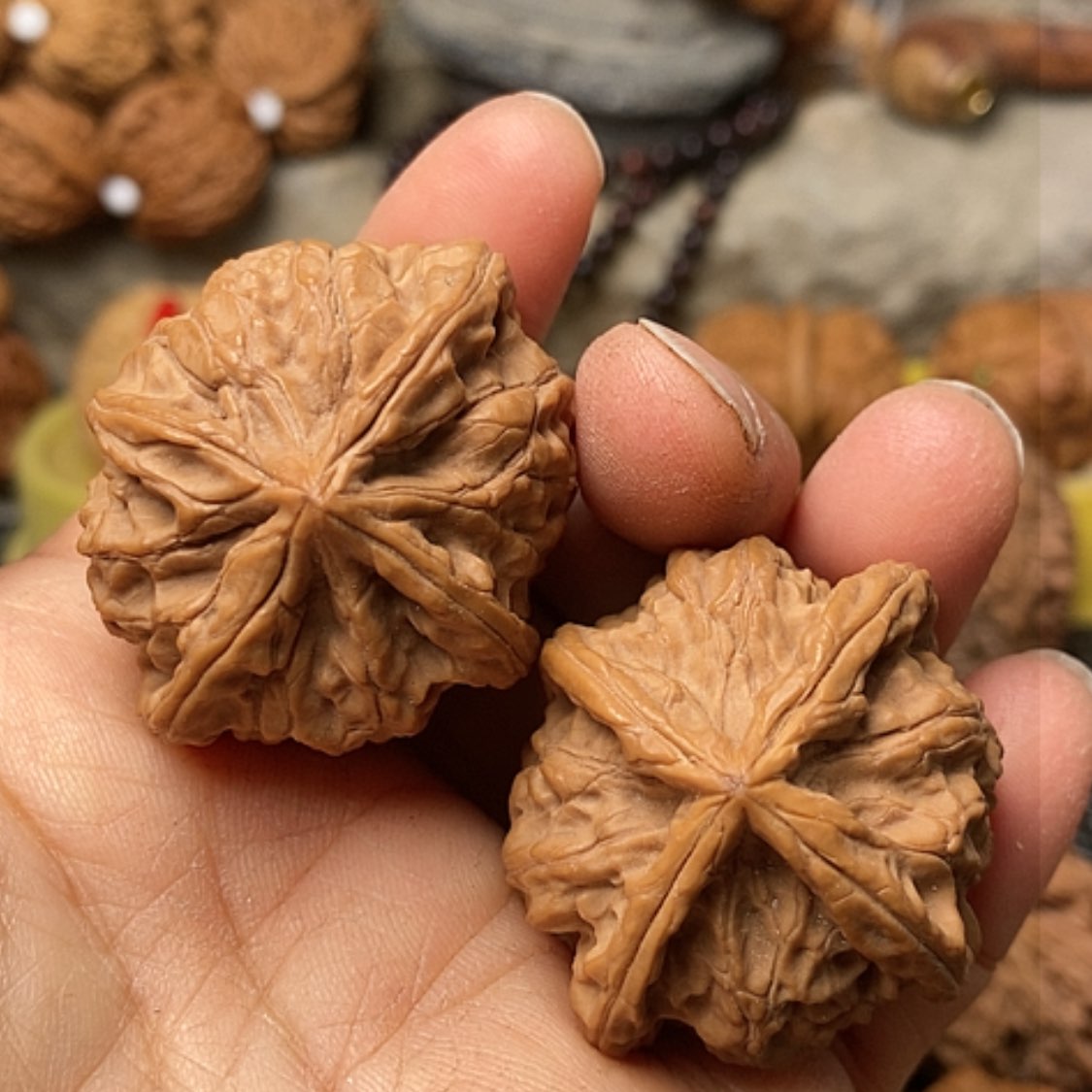 【闪购商品】把件文玩核桃野生四棱