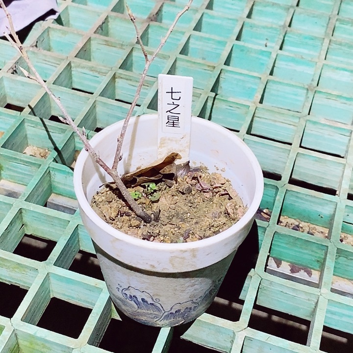 。***好完全开放哈哈哈哈哈哈