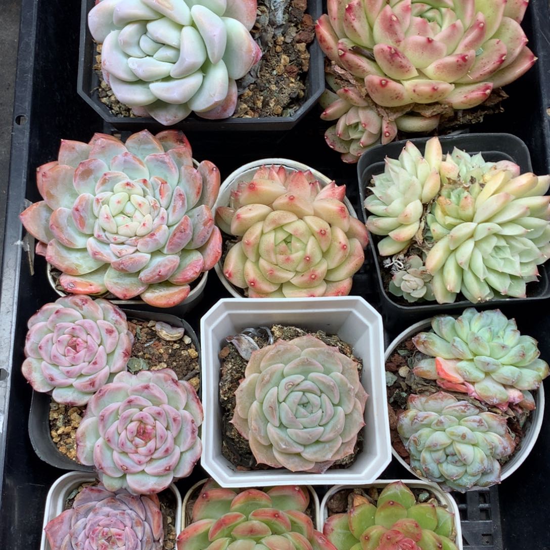 1204-63 套餐一组